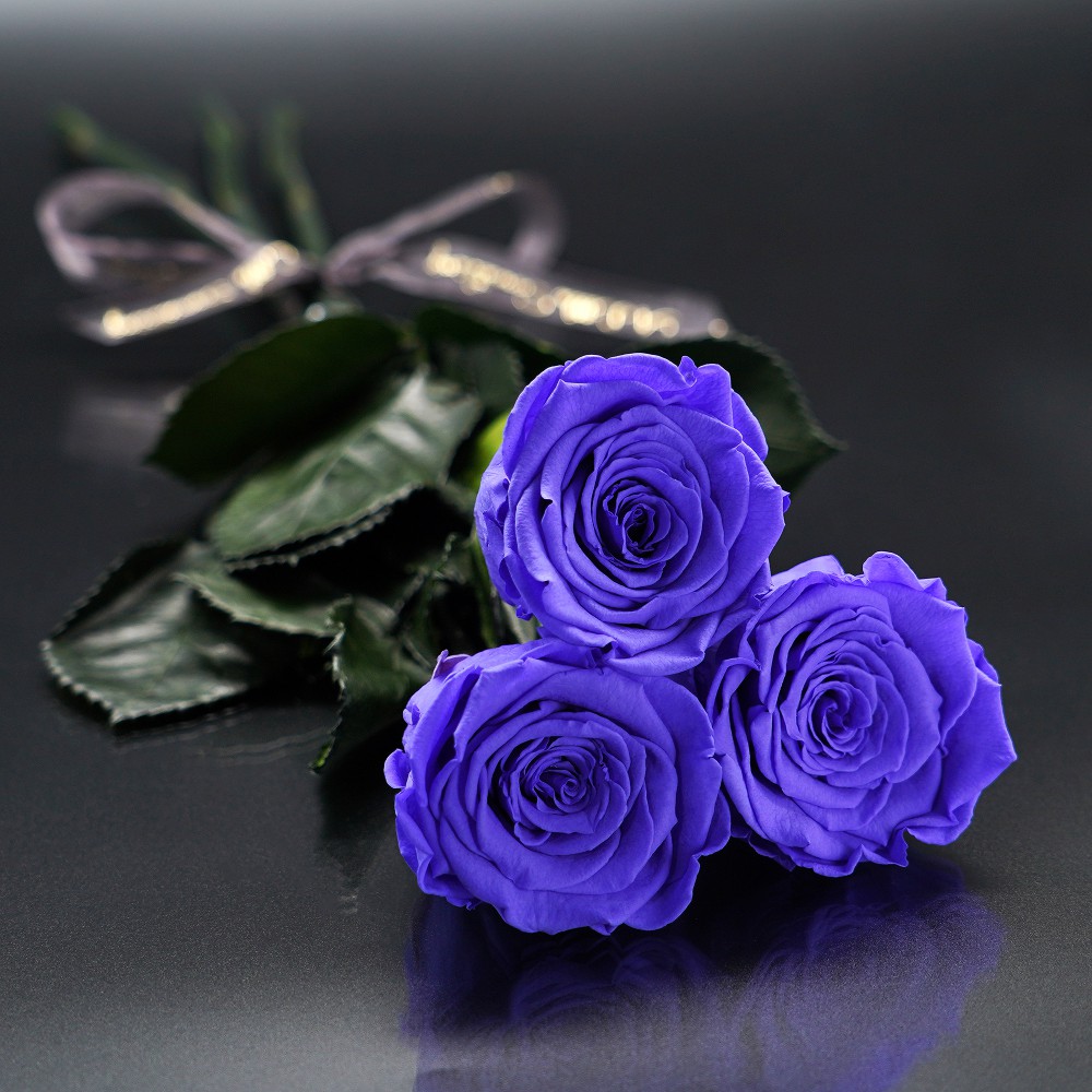 Score of Roses